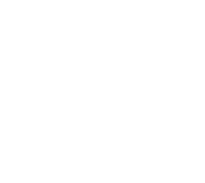AVSSPL - Logo